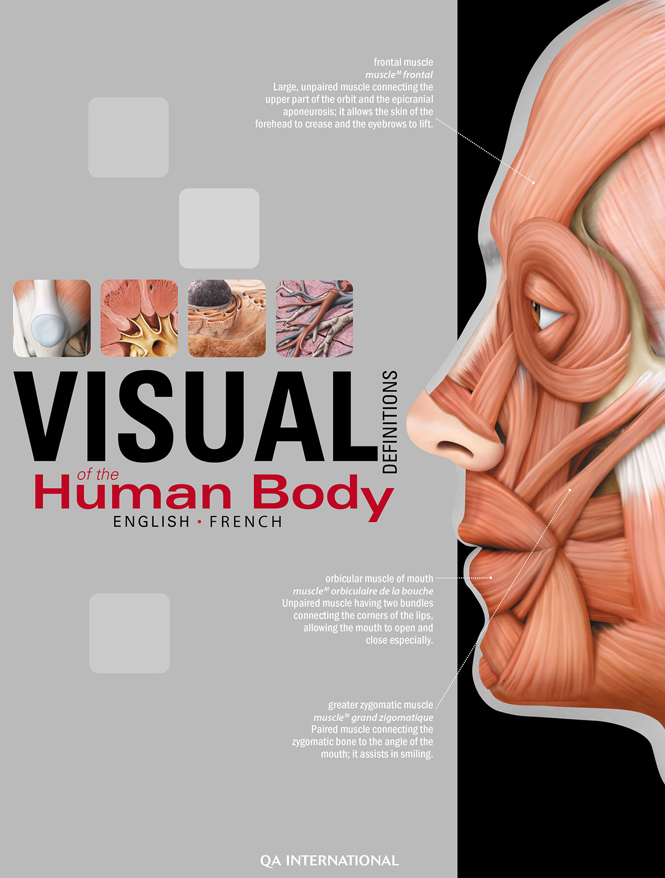 The Visual Dictionary Of The Human Body Qa International