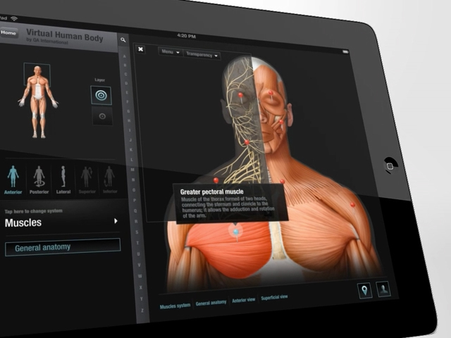 The Virtual Human Body
